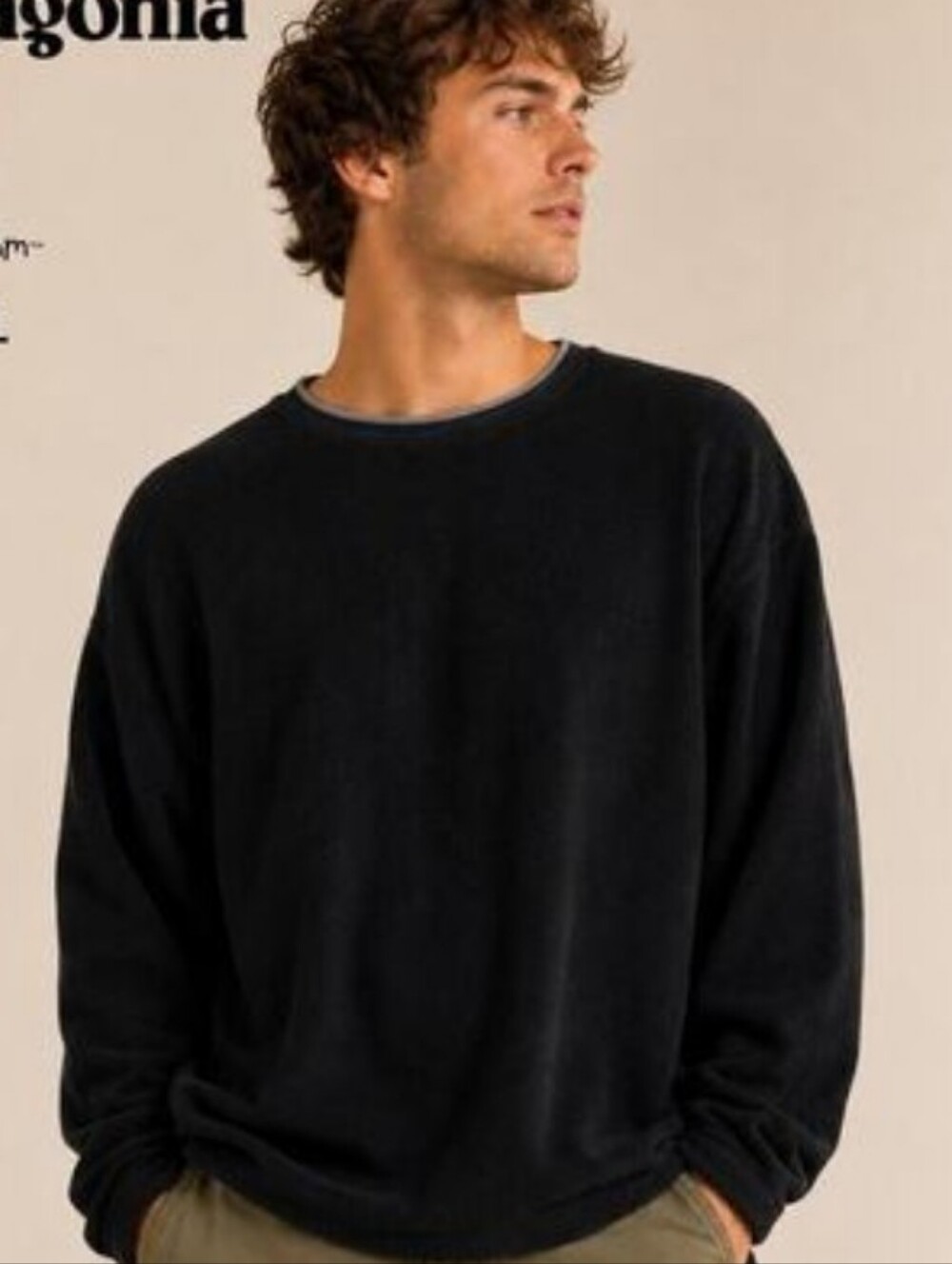 Patagonia Rhythm Fleece Pullover